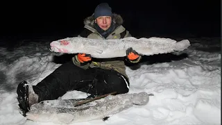 Ice Fishing For Burbot 2022 in Siberia