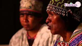 Magical Ayahuasca Songs - Ikaros Etnikas