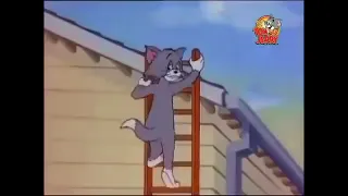 Том и Джерри😼🐭