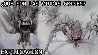 ¿Qué son las Viudas Grises? EXPLICACIÓN | Las Viudas Grises o Gray Widowers de La Niebla EXPLICADAS