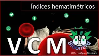 VCM (Volume corpuscular médio)-Índices hematimétricos