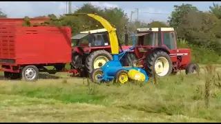 International 785 on Kidd double chop. Zetor crystal 8045 on trailer