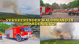 [VERHEERENDER WALDBRAND] - Über 60 Hektar Wald in Flammen - | 400 FEUERWEHRKRÄFTE im GROSSEINSATZ