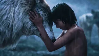 Mowgli Leaves The Wolf Pack Scene - THE JUNGLE BOOK (2016) Movie Clip