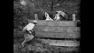 Ladies' Skirts Nailed To A Fence (1899)