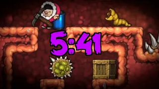 Spelunky No Teleporter Max Hell% Speedrun 5:41