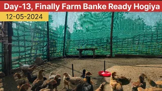 Day-13, Finally Farm Banke Ready Hogiya।। 12-05-2024##Pasighat Poultry Farming##