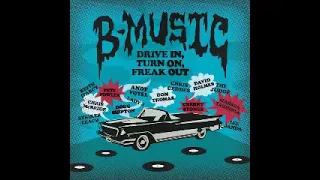 Various ‎– B-Music - Drive In,Turn On, Freak Out 60's  Rock Soul Pop Folk World Music Compilation LP