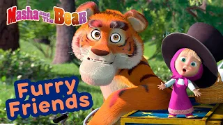 Masha and the Bear 🐯🐼 FURRY FRIENDS 🐼🐯 Best episodes collection 🎬 Cartoons for kids