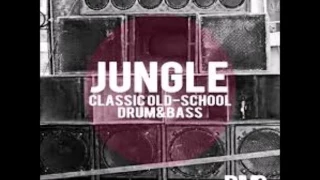 Jungle. Classic Old School Drum & Bass Mix.