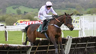 GOLDEN ACE could be Champion Hurdle horse next season