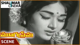 Mooga Prema Movie || Vanisri & Sobhan Babu Love Scene || Sobhan Babu, Vanisri || మూగ ప్రేమ