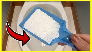 Dump WASHING POWDER into your Toilet and WATCH WHAT HAPPENS!! | Andrea Jean