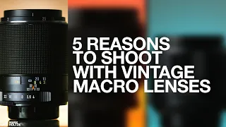 5 REASONS TO SHOOT WITH VINTAGE MACRO LENSES - Up Close and Personal