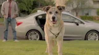 Subaru "Dream Weekend" commercial, extended 90 second edition