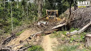 Highest risk job CAT D6R XL bulldozer operator clearing plantation road on edge of the ravine