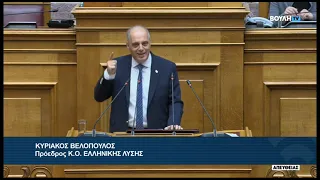 Κ. Βελόπουλος(Πρόεδρος ΕΛΛΗΝΙΚΗΣ ΛΥΣΗΣ)(Ποινικός Κώδικας και  Ποινικής Δικονομίας)(22/02/2024)