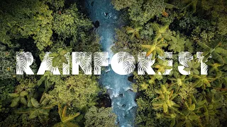 "Rainforest" | Costa Rica Documentary