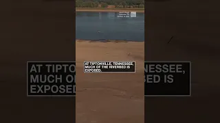 Mississippi River looks more like a creek due to low water levels