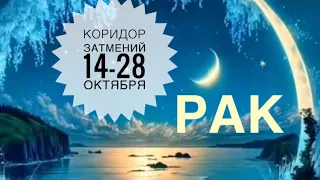 Рак ♋️ Коридор затмений 14-28 октября 2023 года 🌒☀️🗝🔮Таро Ленорман предсказание