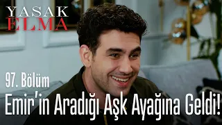 Emir'in aradığı aşk ayağına geldi! - Yasak Elma 97. Bölüm