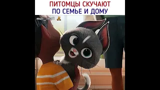 Мне так их жалко 😭 #shorts #мультфильм #фильм