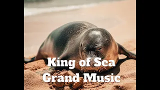 King of Sea Grand Music HD 720p 1