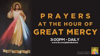Prayers at the Hour of Great Mercy | May 17, 2024
