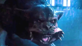 Hulk Dogs vs Giant Monster Werewolf Fight Scene - HD