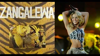Shakira's Waka Waka, a song by Cameroonian Group "Golden Sounds" in 1986