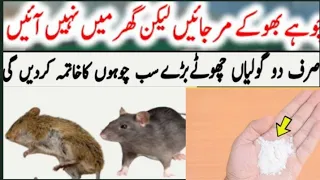 rat killer description 10 minutes challenge for killing rats |Rat Killer Home Remedies|ViralTrending