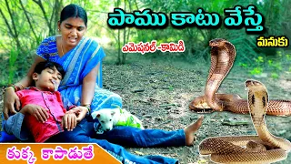 పాము కాటేస్తే || Paam Katesthe kukka kapadithe || Manu Videos || Telugu letest all