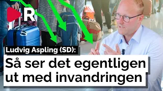 Ludvig Aspling (SD): Återvandringen har redan börjat