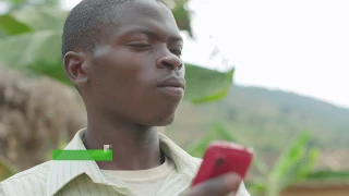 FAO and digital innovation in support of youth in agriculture