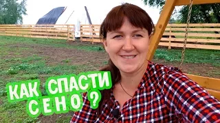 ТЁЛОК ПРОДАВАТЬ НЕ НАДО! РЕМОНТ СТАДА...СЕНО НУЖНО СПАСАТЬ?