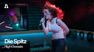 Die Spitz - Night Sweats | Audiotree Live