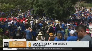 WGA strike enters 8th week with large rally in Fairfax District