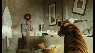 Alan saw tiger funny scene from the hangover