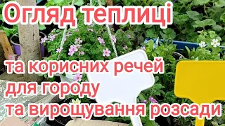 Зимова теплиця на 1 січня, час працювати. Придбала сівалку та інше.