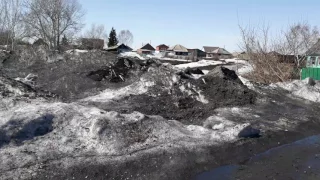 Сузунская прибрежная защитная полоса