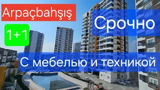 🔥Срочная продажа 1+1 Арпачбахшиш на 3 этаже.#недвижимостьвтурции #квартирауморя #мерсин #эрдемли