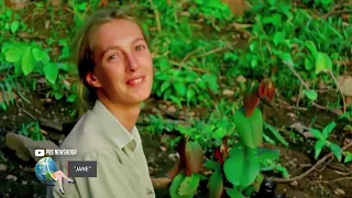 Jane Goodall: la mujer que vivió con chimpancés y cambió la manera en que entendemos el mundo animal