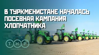 В Туркменистане началась посевная кампания хлопчатника