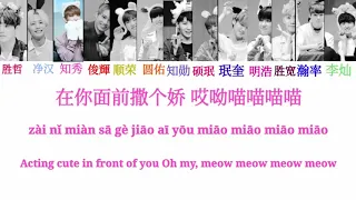 How would Seventeen sing 学猫叫/Learn to Meow(remix by XiaoFengfeng,Xiaopanpan,Wengie)(color coded)