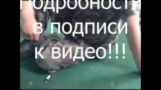 Срочно! Шок!!! Луганск  Погран Войска Сдались!!! 02 06 14 Новости Украины Сегодня   1