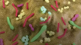 What's the microbiome? And why do we care?