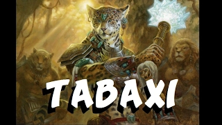 Dungeons and Dragons Lore: Tabaxi