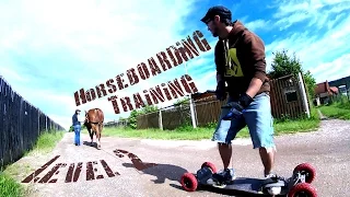 Horseboarding Training Level 2