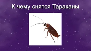 К чему снятся Тараканы – толкование сна по Соннику