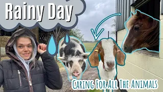 Rainy Day Routine | A Day In My Life On The Farm | Lilpetchannel